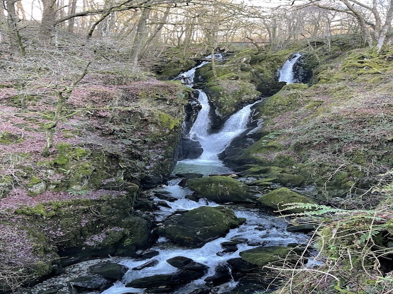 Sightseeing Around Windermere